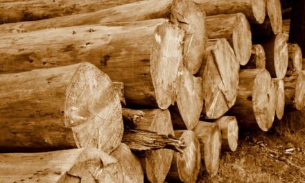 Holzverarbeitung leicht gemacht