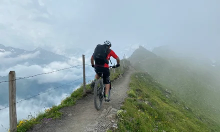 CAN Bus Technologie im E-Bike